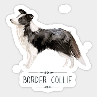 Border Collie Sticker